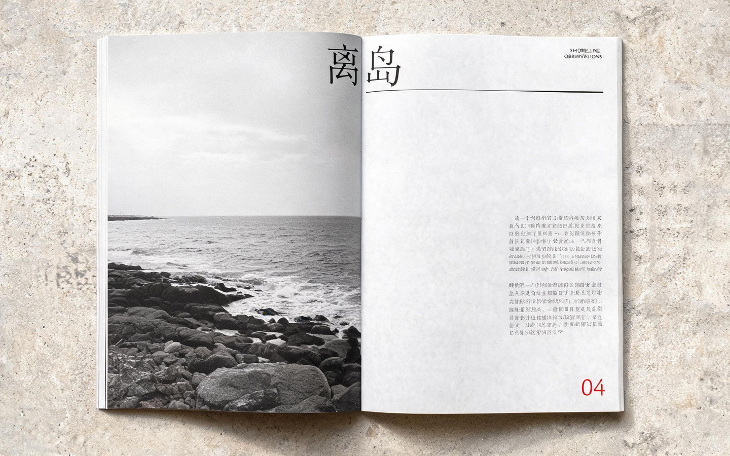 林知远 · Lin Zhiyuan — 视觉设计师 / Visual Designer